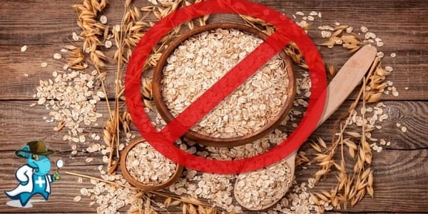¿Cubre el Seguro Médico la Alergia a la Avena en España?
