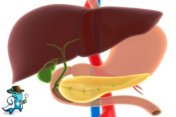 ¿Cubre el Seguro Médico la Cirrosis Biliar Primaria en España?