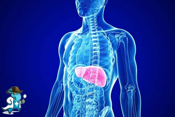 ¿Cubre el Seguro Médico la Hepatitis Autoinmune en España?