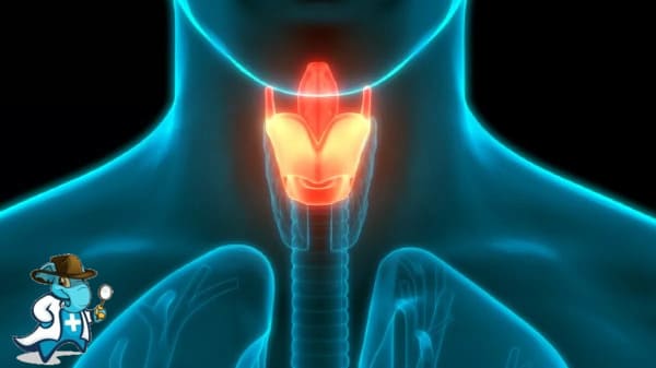 ¿Cubre el Seguro Médico la Laringitis en España?