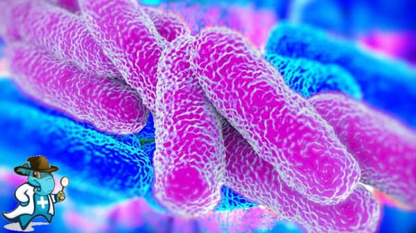 ¿Cubre el Seguro Médico la Legionella en España?