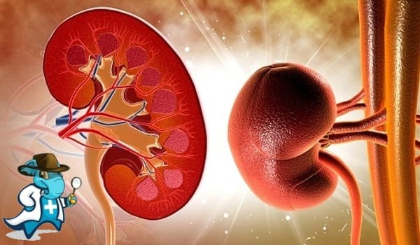 ¿Cubre el Seguro Médico la Nefroesclerosis Hipertensiva en España?