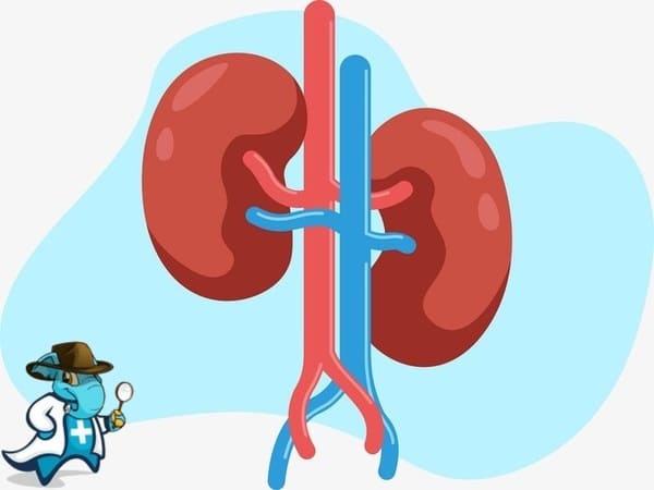 ¿Cubre el Seguro Médico las Nefropatías Intersticiales en España?