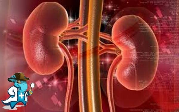 ¿Puedo Contratar un Seguro Médico si Tengo Nefroesclerosis Hipertensiva en España?