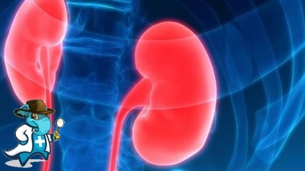 ¿Puedo Contratar un Seguro Médico si Tengo Síndrome Nefrótico en España?