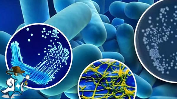 ¿Puedo Ocultar que Tengo Legionella Para Contratar el Seguro Médico en España?