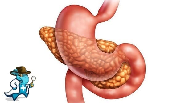 ¿Puedo Ocultar que Tengo Pancreatitis Para Contratar el Seguro Médico en España?