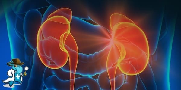 ¿Puedo Ocultar que Tengo Pielonefritis para Contratar el Seguro Médico en España?