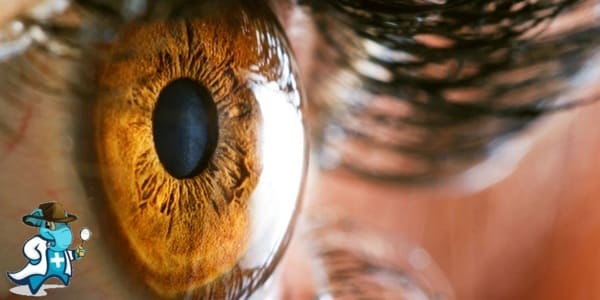 ¿Puedo Ocultar que Tengo Retinosis Pigmentaria para Contratar el Seguro Médico en España?