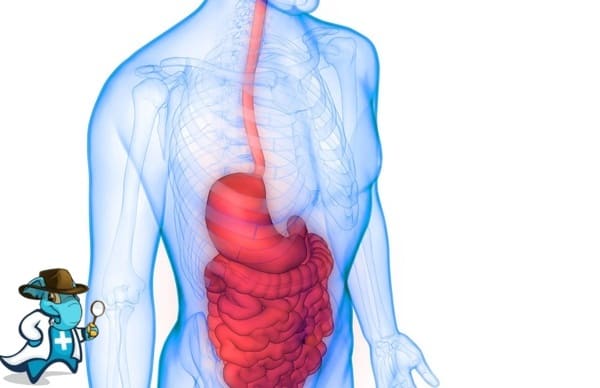 Gastroenterología Mutualía Hospital de Alta Resolución Álava