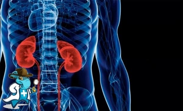¿Puedo Ocultar que Tengo Síndrome Nefrótico Para Contratar el Seguro Médico en España?