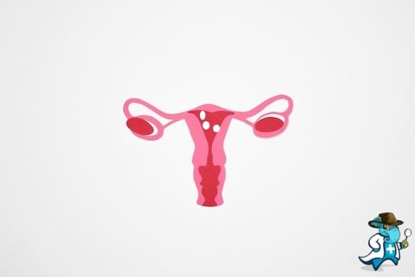 ¿Cubre el Seguro Médico Los Pólipos Uterinos en España?