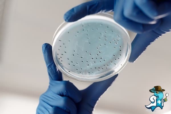 ¿Cubre el Seguro Médico la Vaginosis Bacteriana en España?