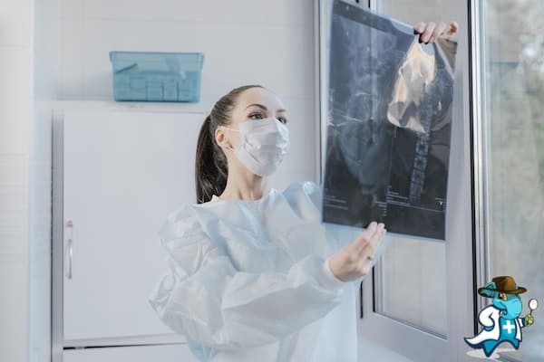 ¿Puedo Ocultar que Tengo Siringomielia para Contratar el Seguro Médico en España?