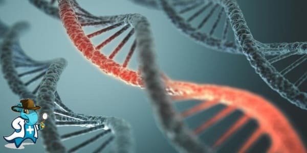 ¿Cubre el Seguro Médico el Trastorno Mitocondrial en España?