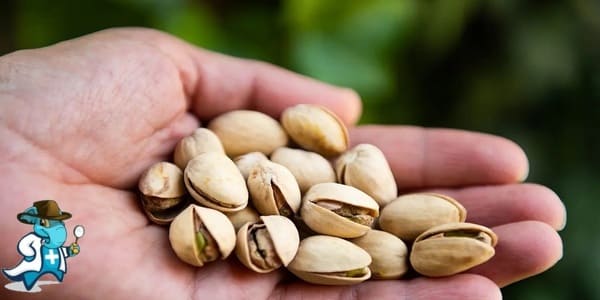 ¿Cubre el Seguro Médico la Alergia a los Pistachos en España?