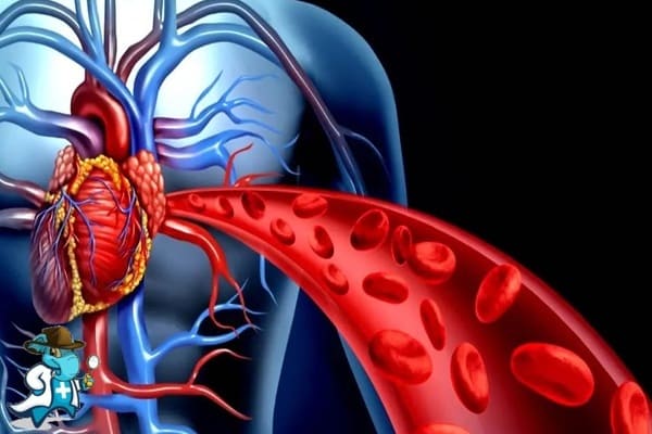 Endocrinología del Hospital Universitario Santiago Apóstol Álava