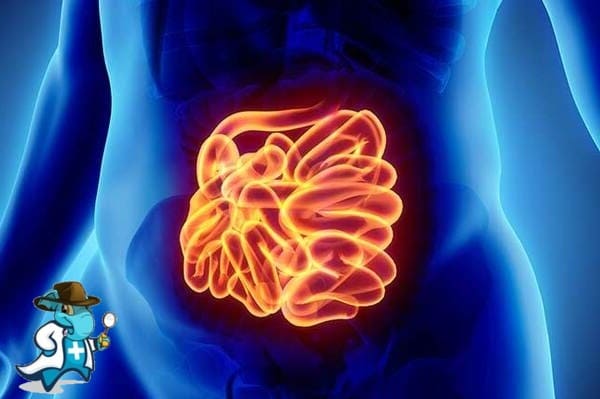 ¿Cubre el Seguro Médico la Enteropatía Crónica en España?