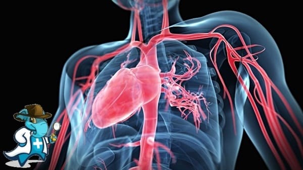 ¿Cubre el Seguro Médico la Miocardiopatía Cirrótica en España?
