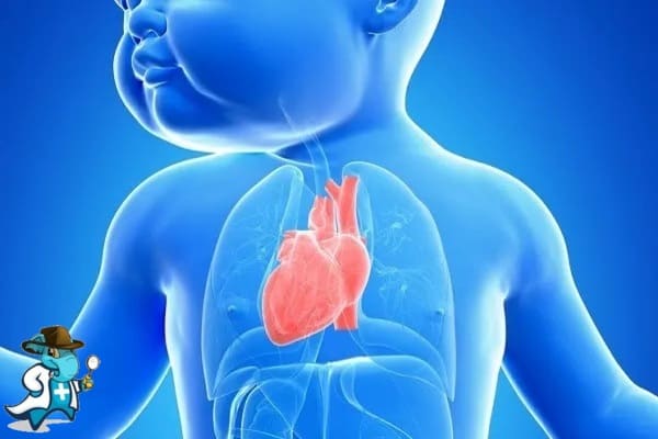 Cardiología del Hospital Universitario Santiago Apóstol Álava
