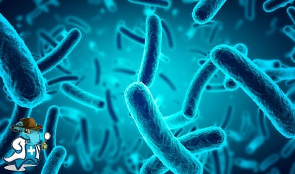 ¿Puedo Contratar un Seguro Médico si Tengo Difteria en España?