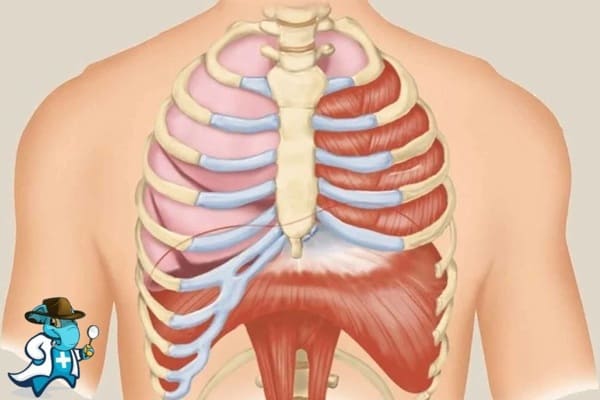 ¿Puedo Contratar un Seguro Médico si Tengo Disfunción Diafragmática en España?