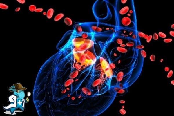 Cardiología del Hospital Quirónsalud Vitoria Álava
