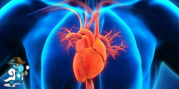 ¿Puedo Contratar un Seguro Médico si tengo Miocardiopatía Hipertrófica en España?