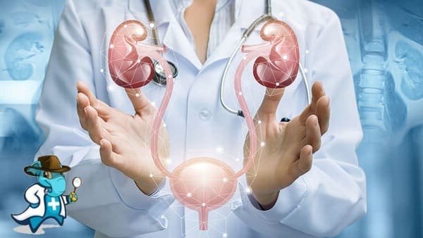 ¿Puedo Ocultar que Tengo Carcinoma de Células Renales Para Contratar el Seguro Médico en España?