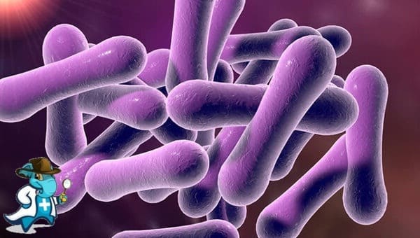 ¿Puedo Ocultar que Tengo Difteria Para Contratar el Seguro Médico en España?