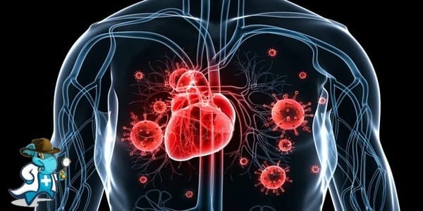 ¿Puedo Ocultar que Tengo Endocarditis Infecciosa para Contratar el Seguro Médico en España?