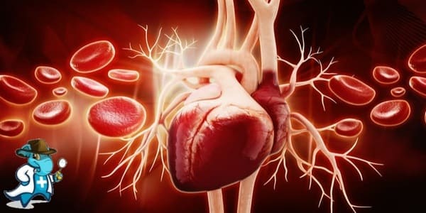 ¿Puedo Ocultar que Tengo Miocardiopatía Hipertrófica para Contratar el Seguro Médico en España?