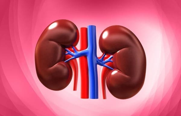 ¿Puedo Ocultar que Tengo Nefritis Intersticial Para Contratar el Seguro Médico en España?