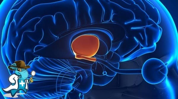 ¿Puedo Contratar un Seguro Médico si Tengo Síndrome Diencefálico en España?