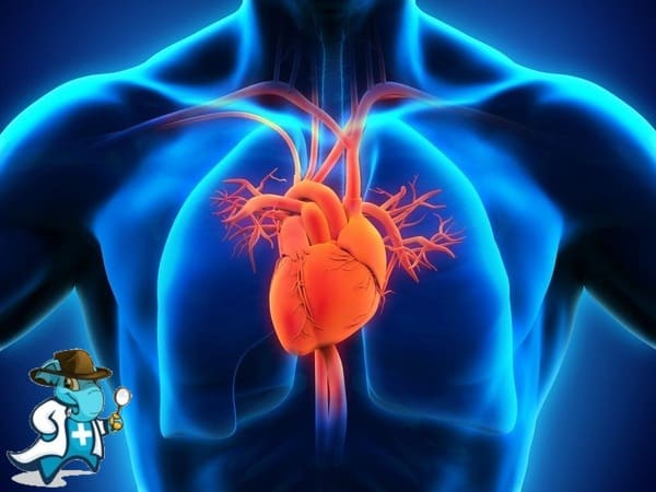 ¿Puedo Ocultar que he Padecido de Choque Cardiógeno Para Contratar el Seguro Médico en España?