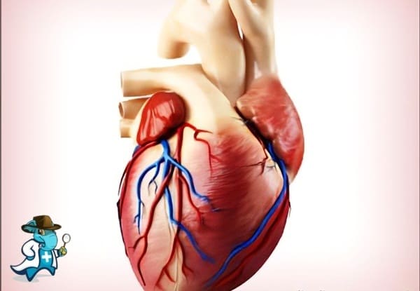 ¿Qué Periodo de Carencia Tiene un Seguro Médico que Cubra la Dextrocardia en España?
