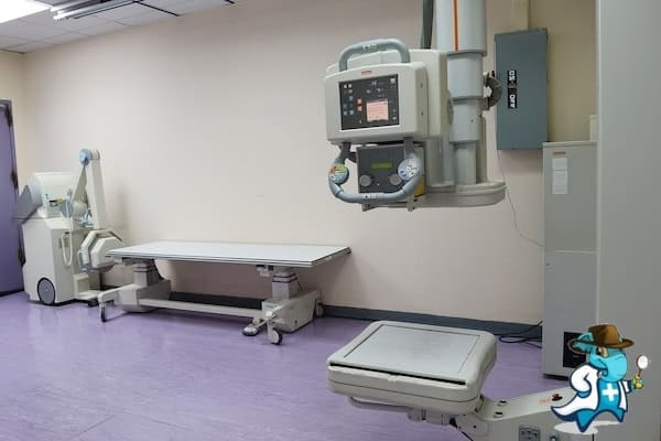 ¿Cuánto Cuesta el Seguro Médico que Cubra la Displasia Capilar Alveolar Congénita en España?