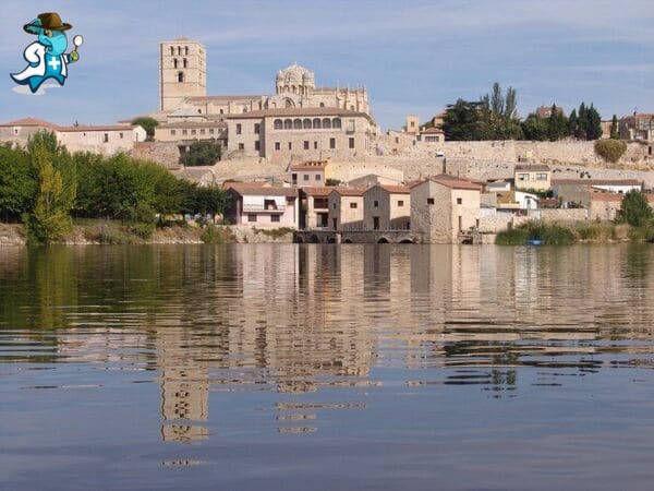Mejor Aseguradora de Salud en Zamora